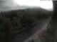 Schierke 11.07.2025 09:04