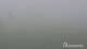 Brocken 09.06.2025 09:04
