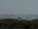 Cape Canaveral, Florida 09.07.2025 09:47