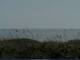 Cape Canaveral, Florida 10.07.2025 09:47
