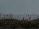 Cape Canaveral, Floride 17.05.2025 09:47