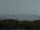 Cape Canaveral, Florida 20.05.2025 09:47