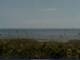 Cape Canaveral, Florida 25.06.2025 09:47