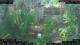 Nakhon Ratchasima (Korat) 30.04.2025 09:47