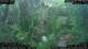 Nakhon Ratchasima (Korat) 03.07.2025 09:47