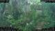 Nakhon Ratchasima (Korat) 05.07.2025 09:47
