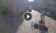 Għarb 30.04.2025 09:06