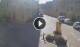 Għarb 10.07.2025 09:05