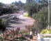 Port Douglas 15.07.2025 09:48