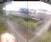 Hamborg 09.06.2025 09:06