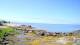 Outer Island, Connecticut 11.07.2025 09:24