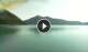 Walchensee 14.06.2025 09:06