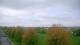 Shorewood, Illinois 29.04.2025 09:27