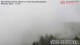 Bad Kleinkirchheim 09.06.2025 09:52