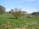 Dartmoor 30.04.2025 09:47