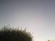 Burgstetten 29.04.2025 09:08