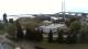 Stralsund 24.05.2025 09:08