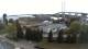 Stralsund 11.05.2025 09:08