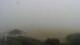 Sopot 15.07.2025 09:19