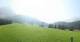 Ehrwald 09.06.2025 09:10