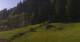 Going am Wilden Kaiser 11.05.2025 09:10