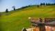 Zieleniec 15.06.2025 09:10