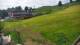 Zieleniec 09.06.2025 09:10