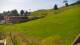 Zieleniec 15.06.2025 09:10