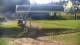 Zieleniec 30.04.2025 09:10