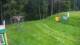 Zieleniec 09.06.2025 09:10