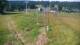 Zieleniec 02.07.2025 09:10
