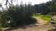 Karpacz 15.06.2025 09:10