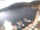 Valun (cres) 09.06.2025 09:11