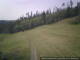 Knobelsdorf 09.06.2025 09:11