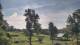 Davidsonville, Maryland 09.07.2025 09:32