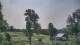 Davidsonville, Maryland 20.05.2025 09:32