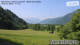 Maishofen 08.06.2025 09:56