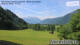 Maishofen 14.06.2025 09:56