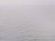 AIDAbella 02.07.2025 09:11
