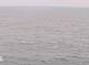AIDAbella 24.06.2025 09:11