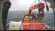 Minik Arctica 09.06.2025 09:12