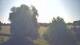 Mandelsloh 11.06.2025 09:12