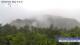 Zhangjiajie 19.04.2025 09:22