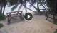 Anse Parnel (Mahé) 11.05.2025 09:13