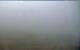 Iona 23.04.2025 09:27