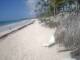 Punta Cana 14.05.2025 09:13