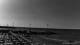 Andora 14.06.2025 09:13