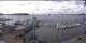 Plön 10.06.2025 09:13