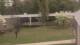 Cold Spring Harbor, New York 30.04.2025 09:34