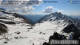 Feldkopf 29.04.2025 09:59